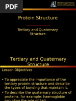 Download Protein Tertiary by mreveblog SN130815 doc pdf