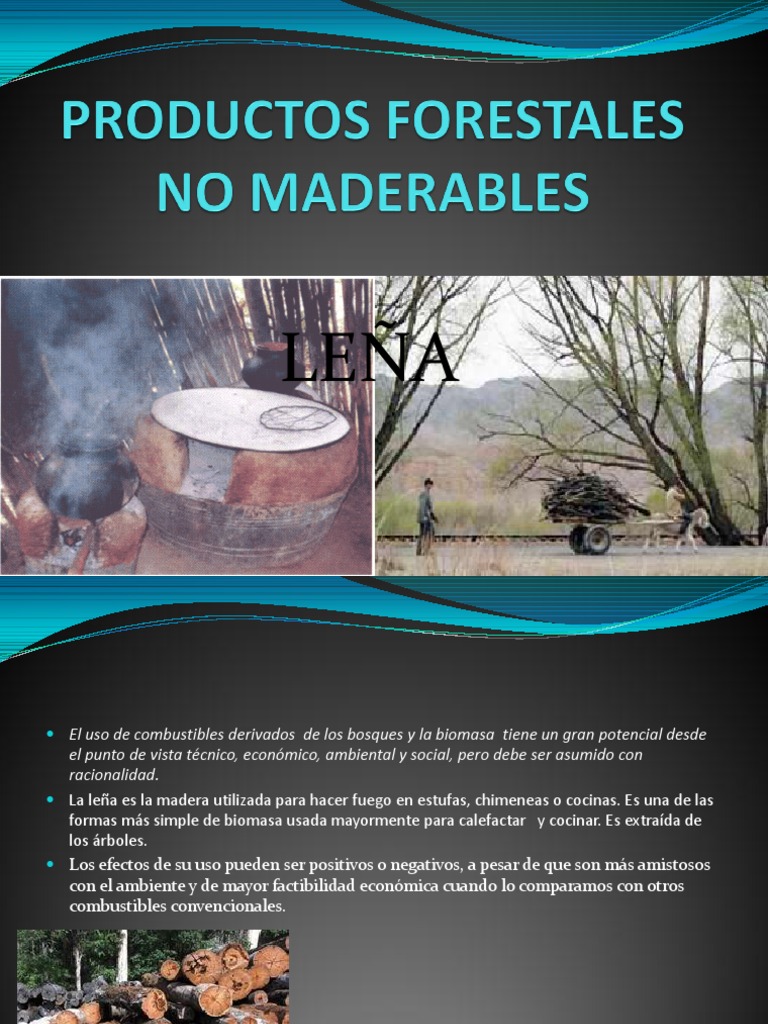 Productos Forestales No Maderables