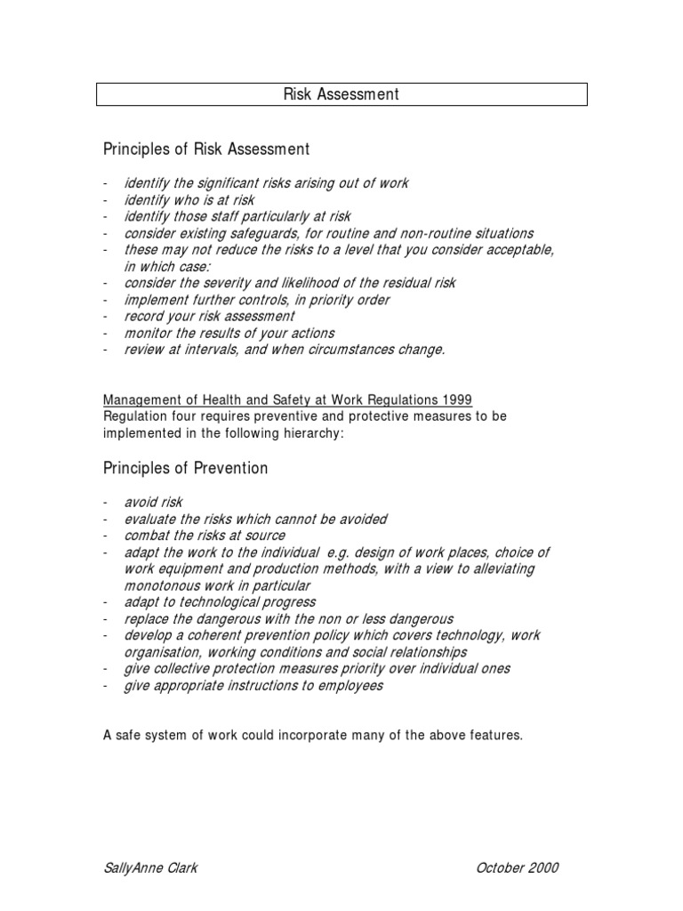Effective Risk Assessment Principles | PDF