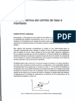 Termodinamica Del Cambio de Fase e Interfases(1)