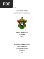 Download Laporan Agroklim - Copy by Wawank Dsaditas SN130833184 doc pdf