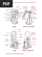 Palm Back of The Hand: DENAS. Manual For Dynamic Electrostimulation Using DENAS Devices