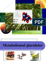 Metabolismul Glucidelor New