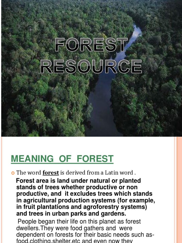 Understanding Forest Resources | PDF | Forestry | Sustainability