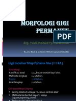 l7-Morfologi Gigi Permanen Fix