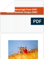 dhf.ppt