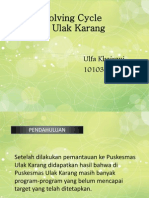 Ruk Dan RPK Ulfa