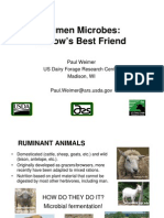 Rumen Microbes - A Cows Best Friend