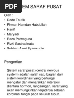 Download SISTEM SARAF PUSATppt by Firman Hamdan SN130866490 doc pdf