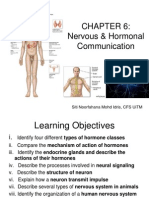 Chapter 6 Hormone Nervous System Student