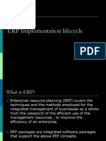 My Erp Implementation Lifecycle 1220283382522985 8