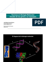 Tecnicas en Biologia Molecular