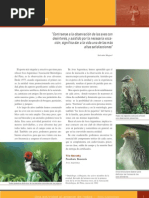 Download observacion aves aop by Hildorien SN13089944 doc pdf