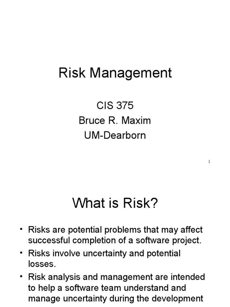 Module 4 Mba Risk | PDF