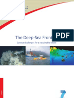 Deep See Frontier