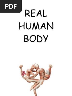 Human Body