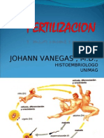 FERTILIZACION