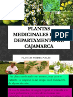 Plantas Medicinales en El Departamento de Cajamarca