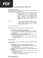 Makalah Nutrisi Untuk Lansia (2)