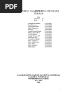 Download laporan anatomi ruminansia by Ersan Sabiyl SN130976443 doc pdf