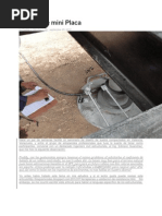 Ensayo de Miniplaca