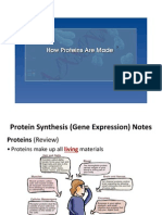 Protein Synthesis