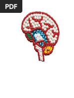 Antidepressants Don t Work 5 Things You Need to Know Now