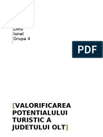 Valorificarea Potentialului Turistic a Judetului Olt ,Dinu Ionel,Gr.4.