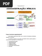 Teoria e Dinâmica das Organizações