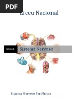 Sistema Nervoso.docx
