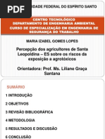 UFES - Apresentação de Monografia - Pós - Maria Izabel