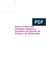 Livro Teoria e Prática dos Conselhos Tutelares