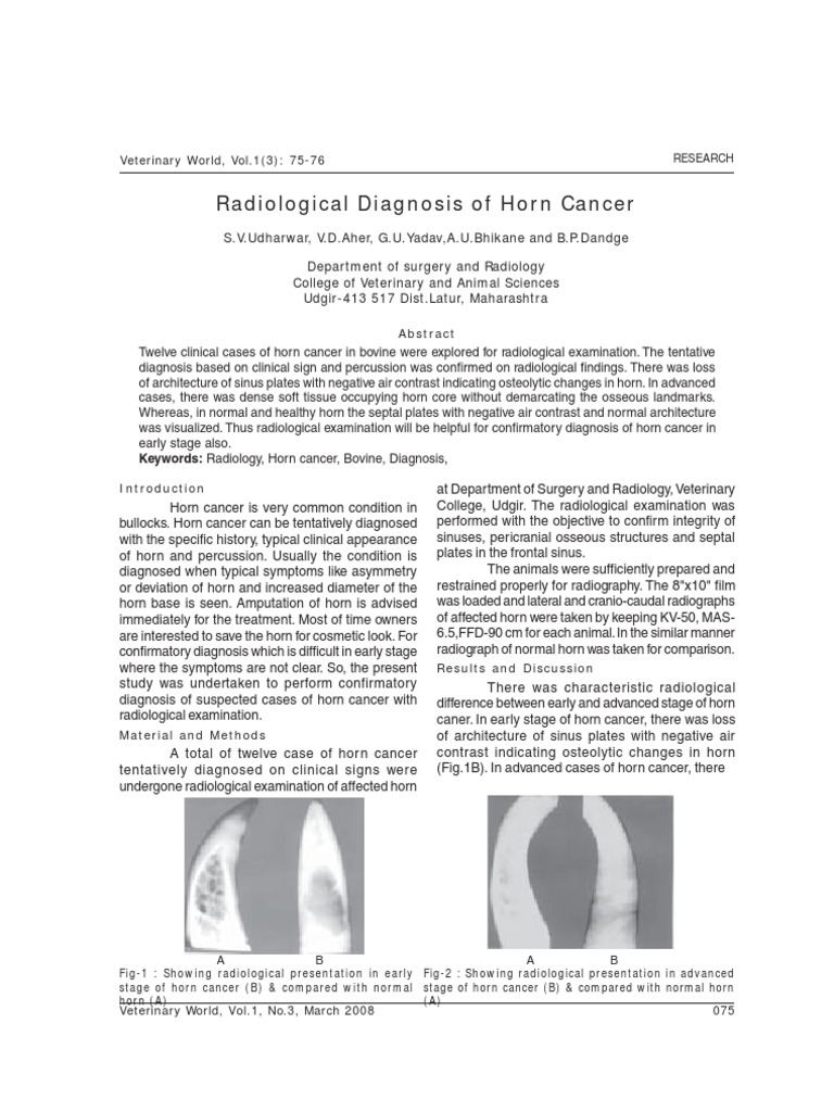 Radio Logical Diagnosis of Horn Cancer PDF Radiology Cancer
