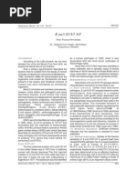 Download EColi 0157H7 by editorveterinaryworld SN13104696 doc pdf