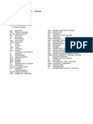 Dictionar Tehnic Englez - Roman | PDF