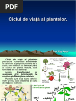 s 13 Ciclul de Viata Al Plantelor. Miscarea Si Sensibilitatea La Plante