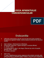 AP Cardiovascular