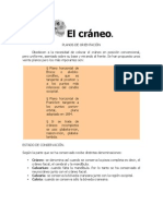 El Cráneo FORENSE