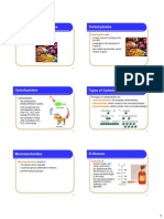 Carbs Handout PDF