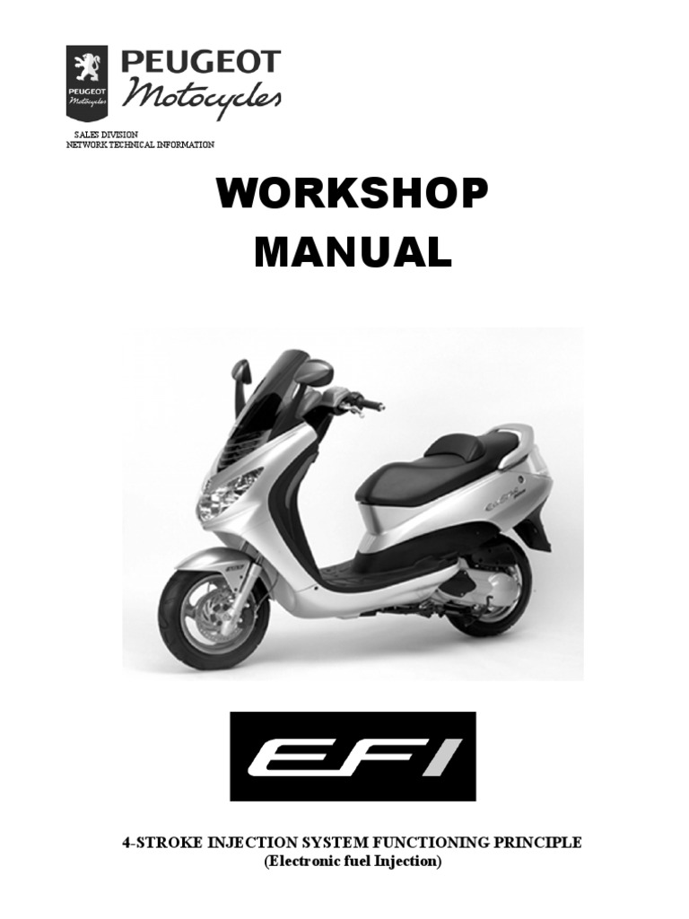 Peugeot Elystar EFI System | Fuel Injection | Throttle