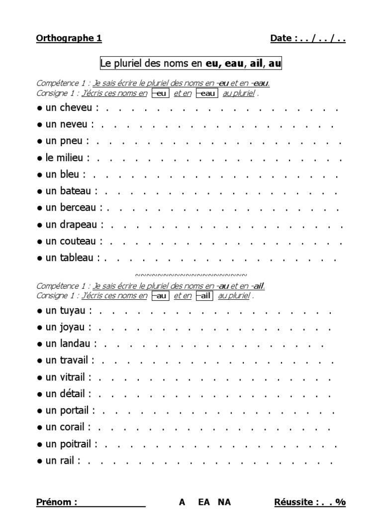Le Pluriel Des Noms Ce2 Exercices 01 Pluriel Des Noms en Eu Eau Au Ail | PDF