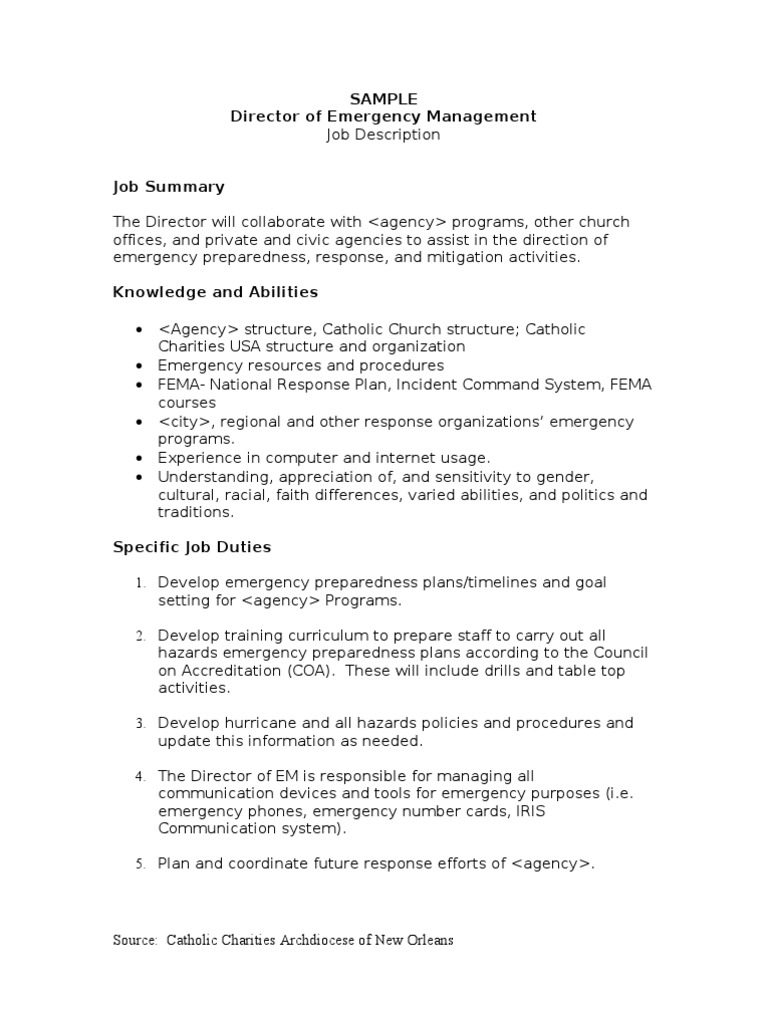 disaster-job-description-for-director-of-emergency-management-pdf