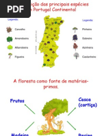 Explo Florestal