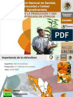 Programa de Certificacion de Citricos - Mexico - Senasica - Sagarpa