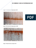 A Collection of Micrographs of Papermaking Raw Materials