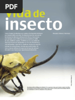 Vida de Insectos (cómo Ves)