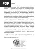 Choque Circulatório