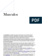 Musculos