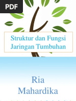 Download Strukur Dan Fungsi Jaringan Tumbuhan by Fakhri Fauzan SN131168853 doc pdf