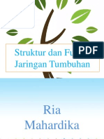 Download Strukur Dan Fungsi Jaringan Tumbuhan by Fakhri Fauzan SN131168853 doc pdf